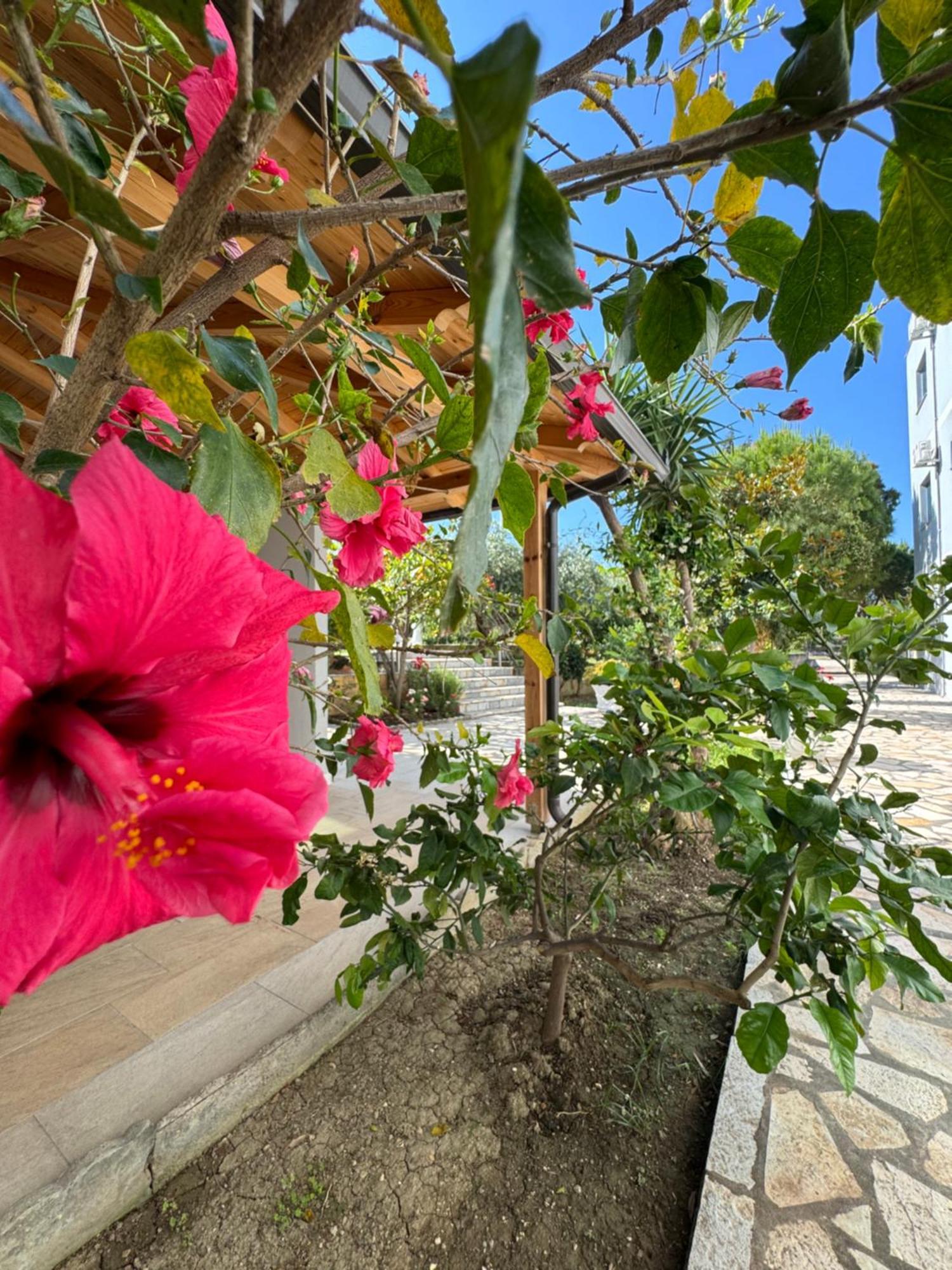Hotel Cekodhima Radhimë المظهر الخارجي الصورة